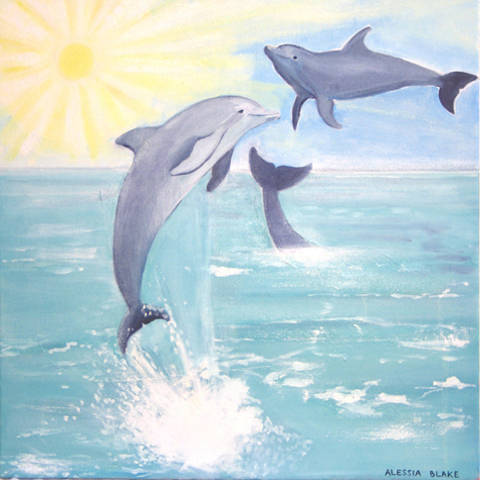 Sun Dolphins